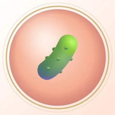 note-cucumber
