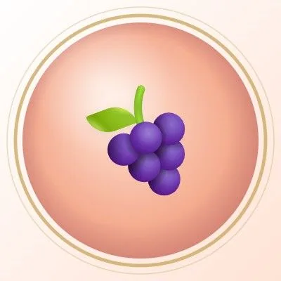 note-dried-fruits